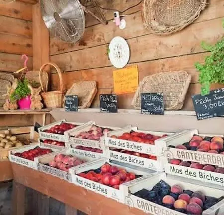 Villa Terra Cotta - Stunning Sea View Private Pool Les Salettes